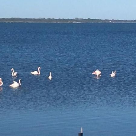 Villa Avec Spa & Vue Panomarique Sur L'Etang Pérols Eksteriør bilde